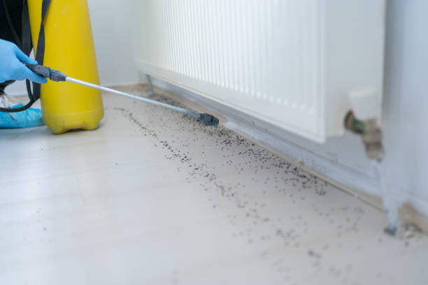 Best Pest Removal Services  in Hooper, UT
